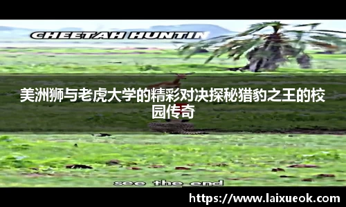 美洲狮与老虎大学的精彩对决探秘猎豹之王的校园传奇