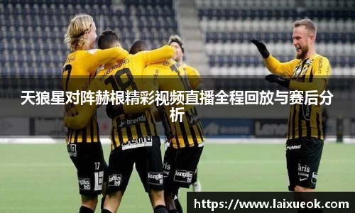 天狼星对阵赫根精彩视频直播全程回放与赛后分析